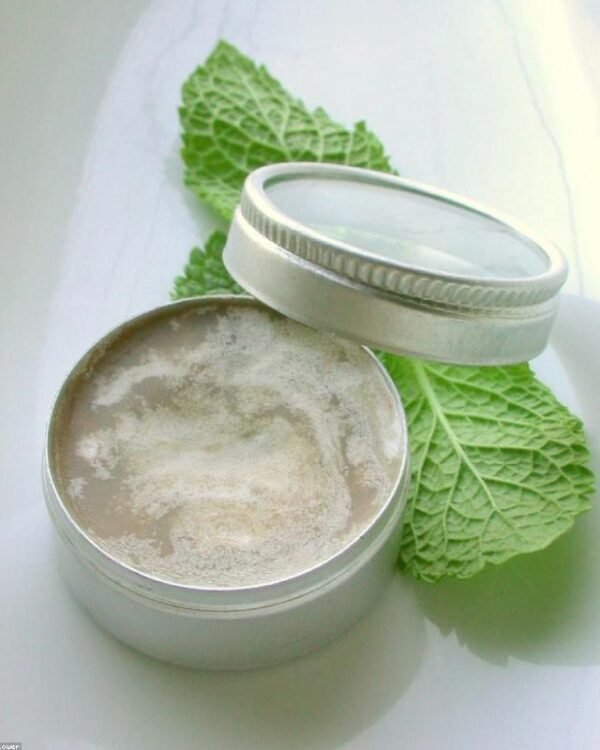 Lip Balm Tinted SPF 15